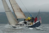 tanit gbr731t mon ss09 gjc 7996
